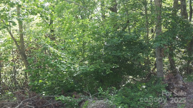 Property image 3 of 0 Sunset Ridge Drive in White Oak Mountain, Columbus, NC 28722