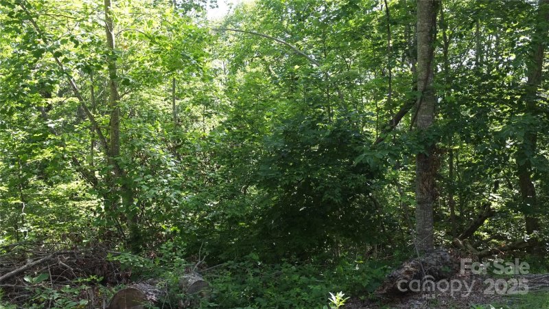 Property image 5 of 0 Sunset Ridge Drive in White Oak Mountain, Columbus, NC 28722