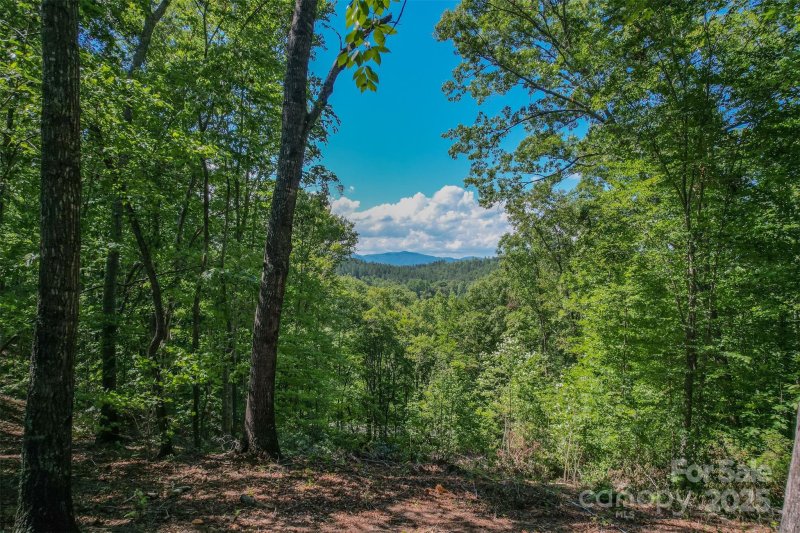 Lot 6 S Cross Creek Trail