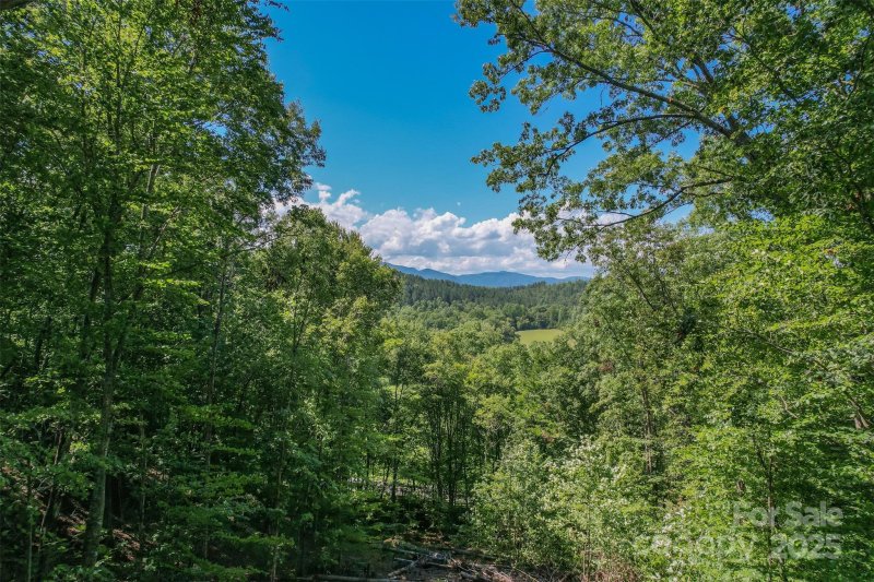 Property image 4 of Lot 6 S Cross Creek Trail in Mountain Laurel Estates, Mill Spring, NC 28756