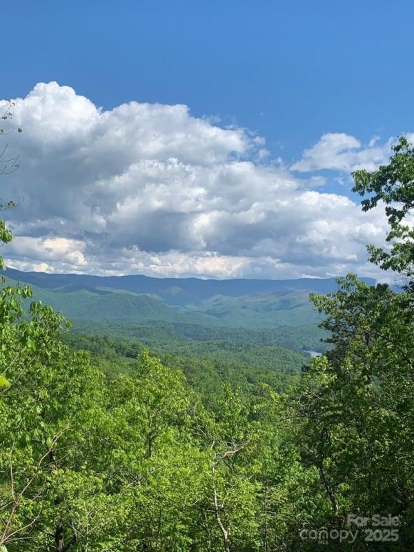 Property image 4 of 377 Freeman Overlook in Fontana View, Almond, NC 28702