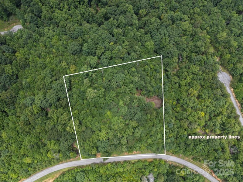 Property image 2 of 000 Deep Gap Farm Road in Brights Creek, Mill Spring, NC 28756