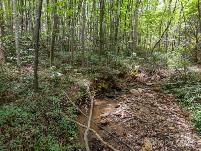 Property image 3 of 000 Deep Gap Farm Road in Brights Creek, Mill Spring, NC 28756
