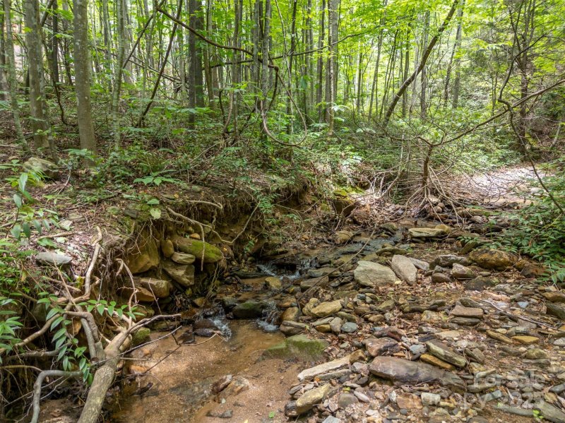 Property image 4 of 000 Deep Gap Farm Road in Brights Creek, Mill Spring, NC 28756