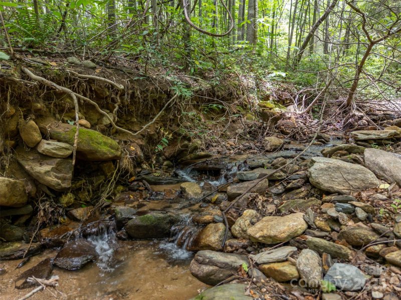 Property image 5 of 000 Deep Gap Farm Road in Brights Creek, Mill Spring, NC 28756