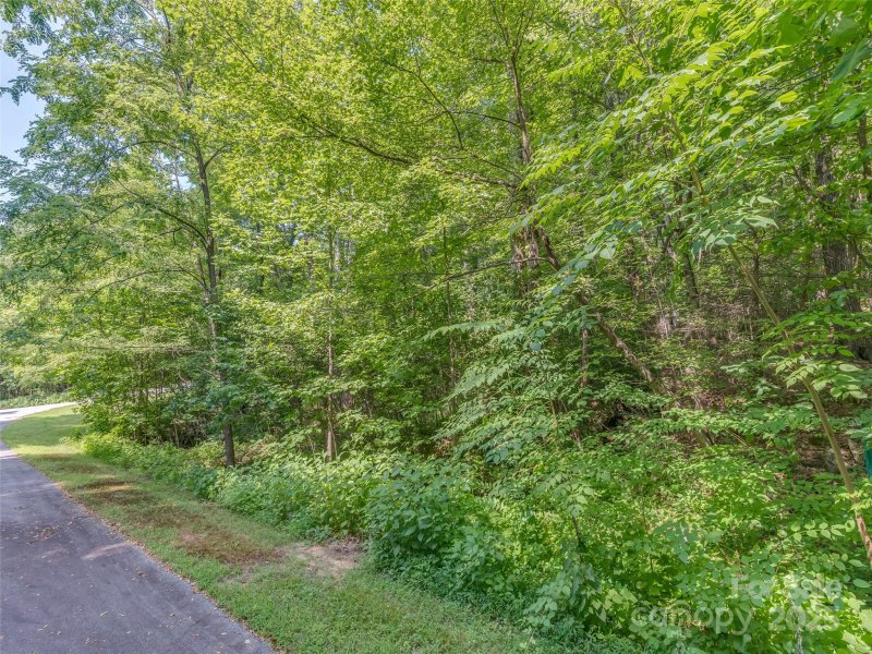 Property image 2 of Lot 231 Chesterfield Drive in Brights Creek, Mill Spring, NC 28756