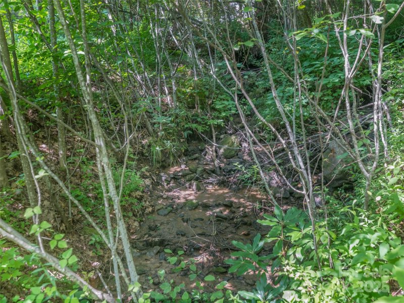 Property image 4 of Lot 231 Chesterfield Drive in Brights Creek, Mill Spring, NC 28756