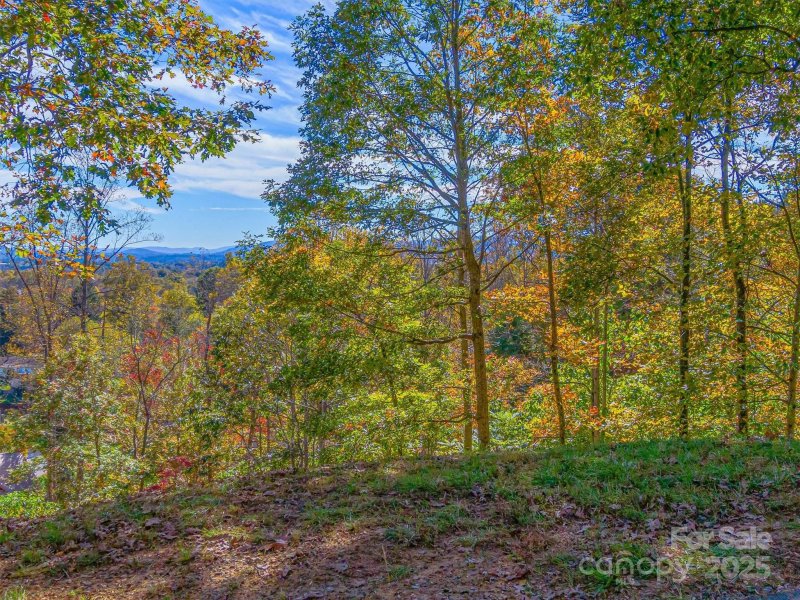 Property image 2 of 17 Denali Drive in Crest Mountain, Asheville, NC 28806