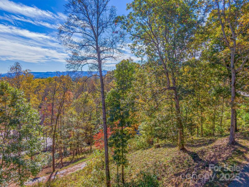 Property image 5 of 17 Denali Drive in Crest Mountain, Asheville, NC 28806