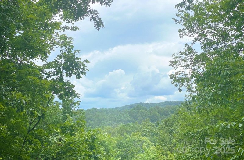 Property image 2 at 590 Raven Boulevard, Lake Lure, NC 28746