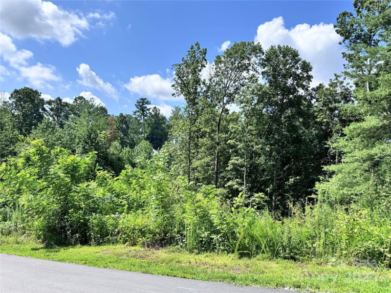 Property image 3 at 3 Winter Hawk Drive, Arden, NC 28704