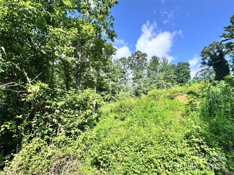 Property image 5 at 3 Winter Hawk Drive, Arden, NC 28704