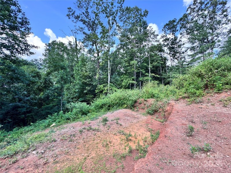 Property image 5 at 7 Winter Hawk Drive, Arden, NC 28704