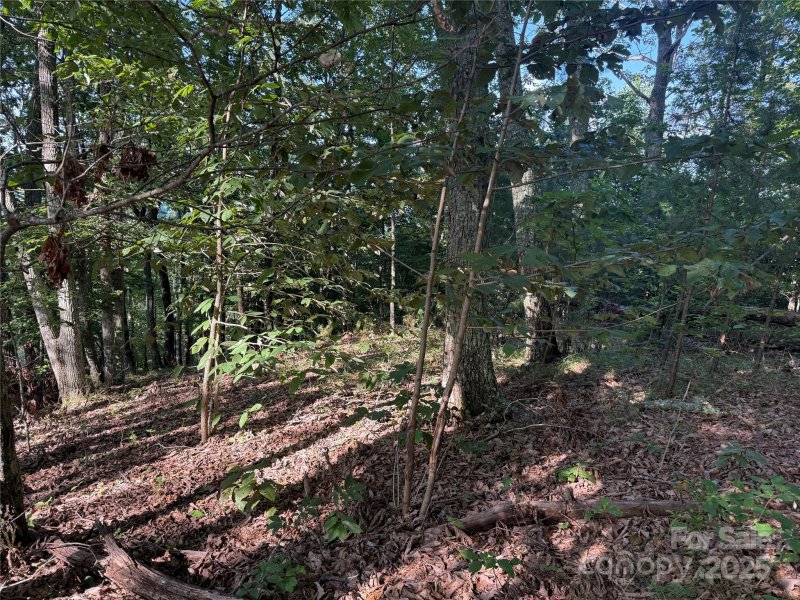 Property image 4 of Lot 332 Scenic Vista Drive in Grandview Peaks, Nebo, NC 28761