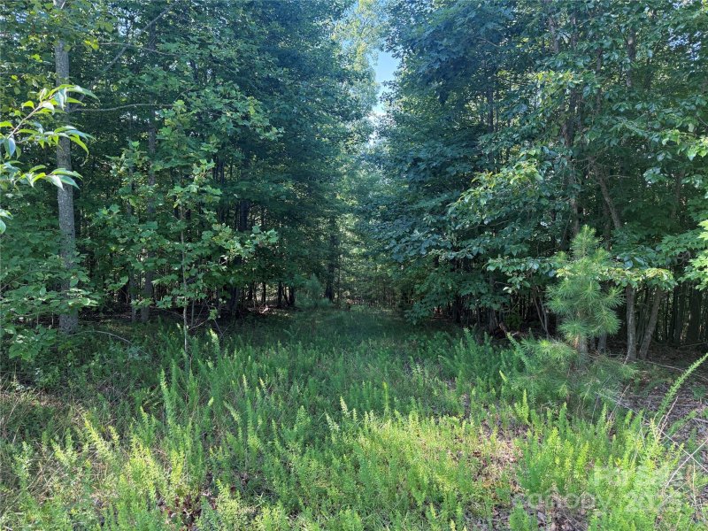 Property image 2 of Lot 333 Scenic Vista Drive in Grandview Peaks, Nebo, NC 28761