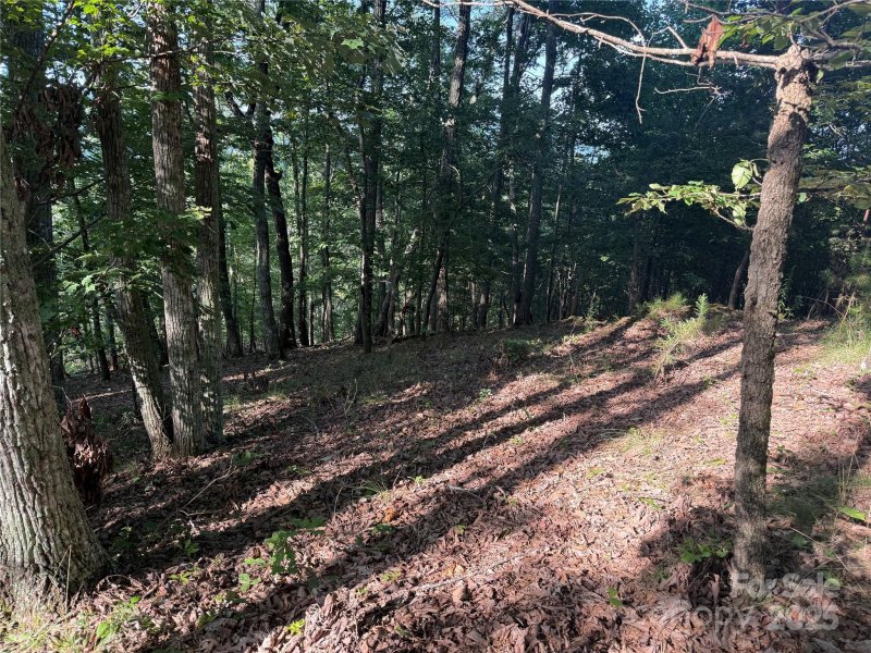 Property image 5 of Lot 333 Scenic Vista Drive in Grandview Peaks, Nebo, NC 28761