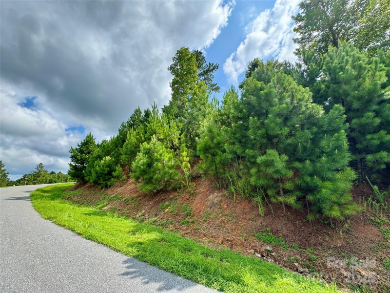 Property image 4 of 2039 Lake Vista Drive in Island Pointe at Lake Vistas, Connelly Springs, NC 28612