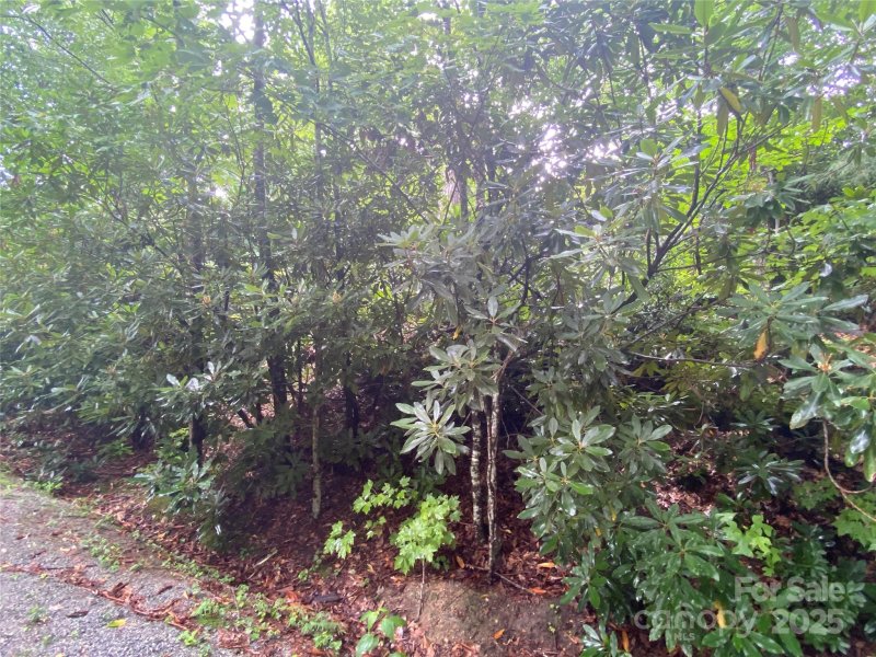 Property image 2 of 00000 Viking Trail in Blue Ridge Estates, Hendersonville, NC 28739