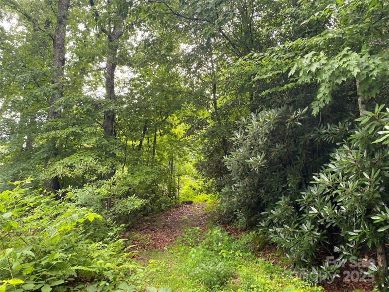 Property image 4 of 00000 Viking Trail in Blue Ridge Estates, Hendersonville, NC 28739