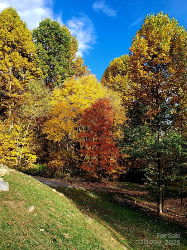 The Willows, Waynesville Community