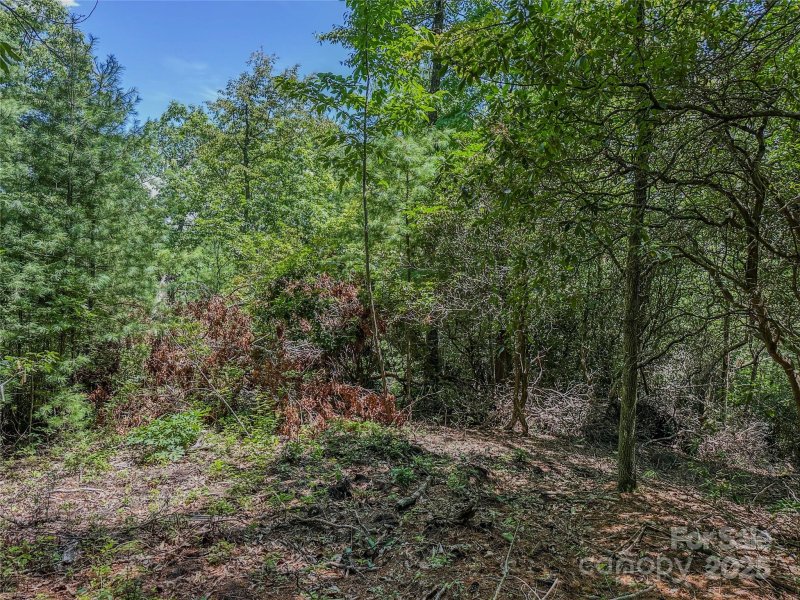 Property image 2 of Tbd Emma Bri Lane in Dogwood Mountain Estates, Hendersonville, NC 28739