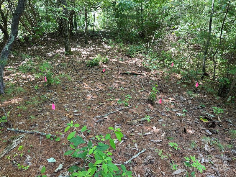 Property image 4 of Tbd Emma Bri Lane in Dogwood Mountain Estates, Hendersonville, NC 28739