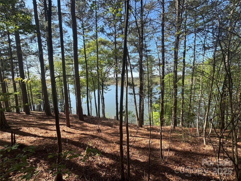 Property image 2 of 1036 Tranquil Cove Court in Paradise Harbor, Connelly Springs, NC 28612