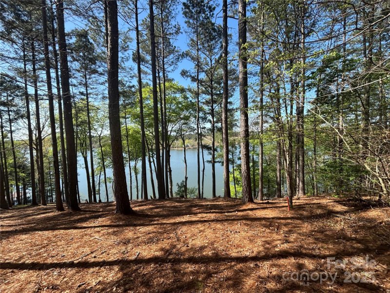 Property image 3 of 1036 Tranquil Cove Court in Paradise Harbor, Connelly Springs, NC 28612