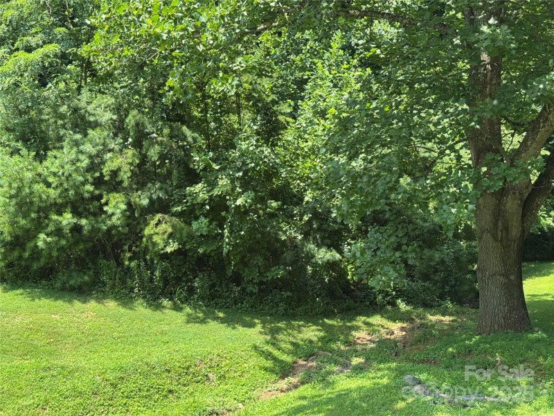 Property image 3 at 3 Mountain Magnolia Drive, Leicester, NC 28748