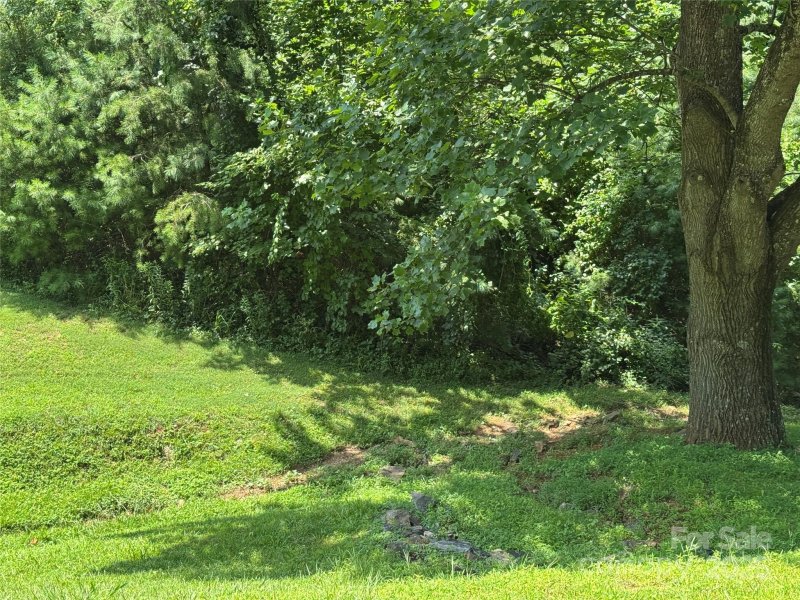 Property image 4 at 3 Mountain Magnolia Drive, Leicester, NC 28748