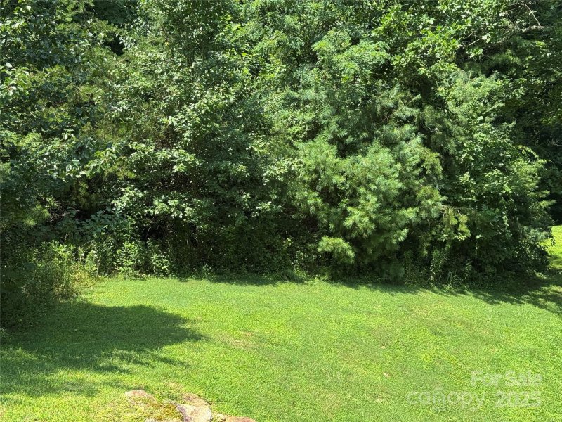 Property image 5 at 3 Mountain Magnolia Drive, Leicester, NC 28748