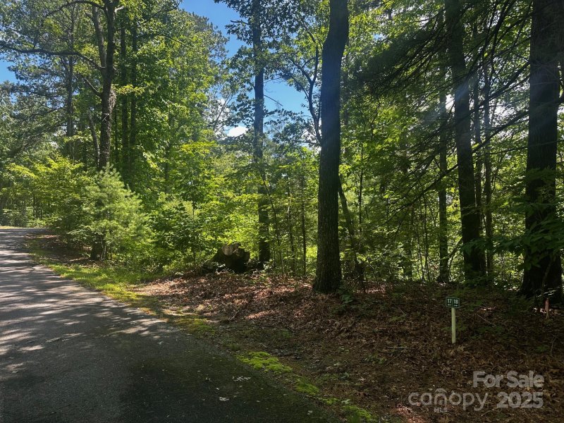 130 Brown Bear Ridge Trail