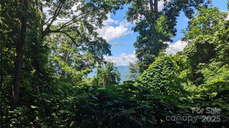 Smoky Mountain Sanctuary, Waynesville Community