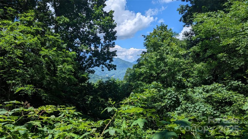 Property image 2 of 00 Entrata Drive in Smoky Mountain Sanctuary, Waynesville, NC 28786