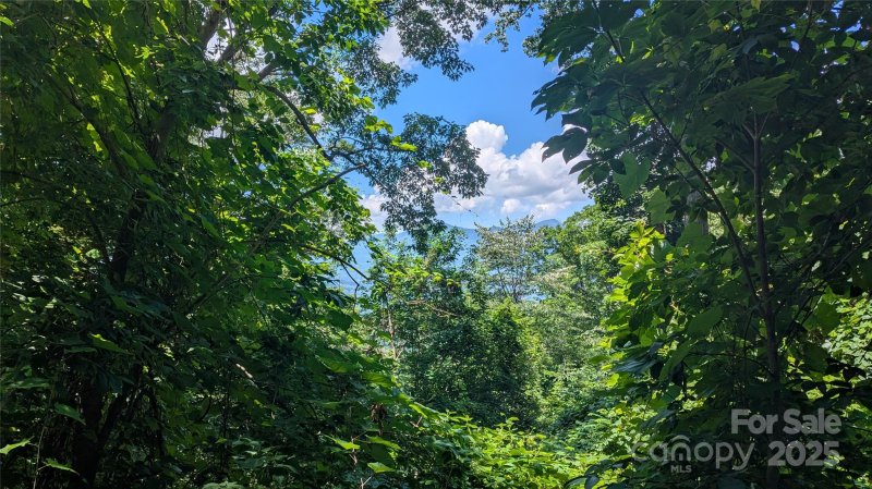 Property image 3 of 00 Entrata Drive in Smoky Mountain Sanctuary, Waynesville, NC 28786