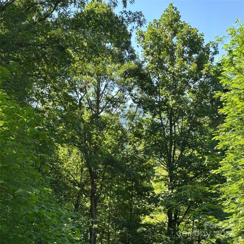 Property image 3 of 33 Nuthatch Lane in Creston, Black Mountain, NC 28711