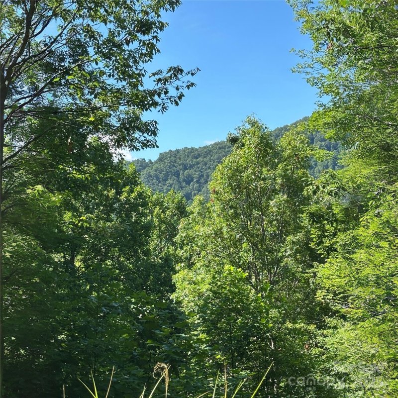 Property image 4 of 33 Nuthatch Lane in Creston, Black Mountain, NC 28711