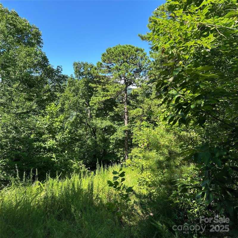 Property image 5 of 33 Nuthatch Lane in Creston, Black Mountain, NC 28711