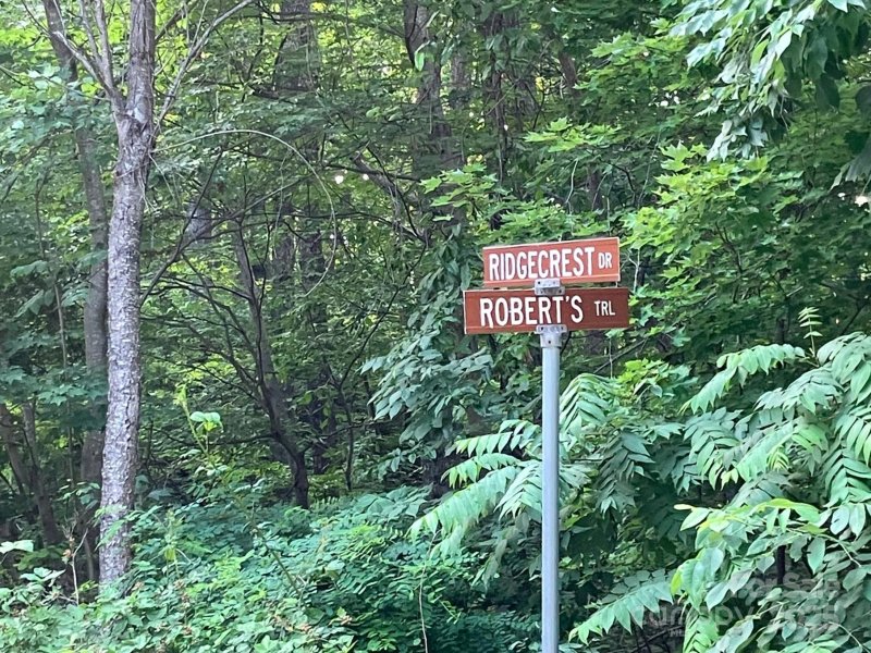 Property image 4 of 00 Roberts Trail in Riverbend Highlands, Lake Lure, NC 28746