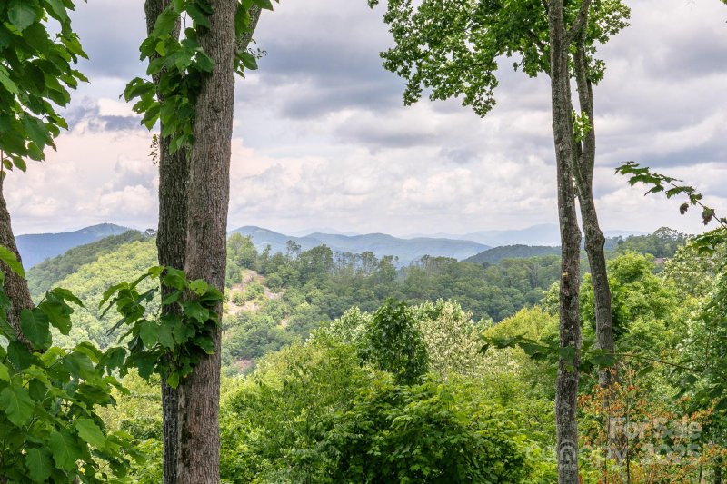 456 Spring House Drive