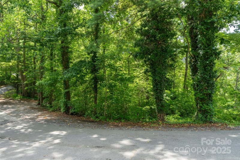 Property image 3 of 99999 Buffalo Trail in Buffalo Mountain, Asheville, NC 28805