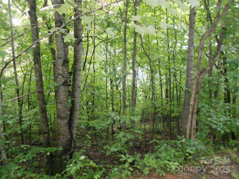 Property image 4 of Tbd Bald Eagle Drive in Stoneridge Estates, Hendersonville, NC 28792