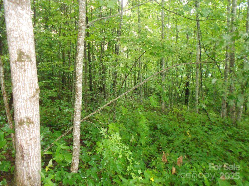 Property image 5 of Tbd Bald Eagle Drive in Stoneridge Estates, Hendersonville, NC 28792