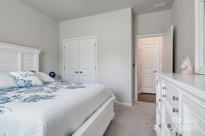 Property image 4 at 14150 Southbridge Forest Drive, Charlotte, NC 28273
