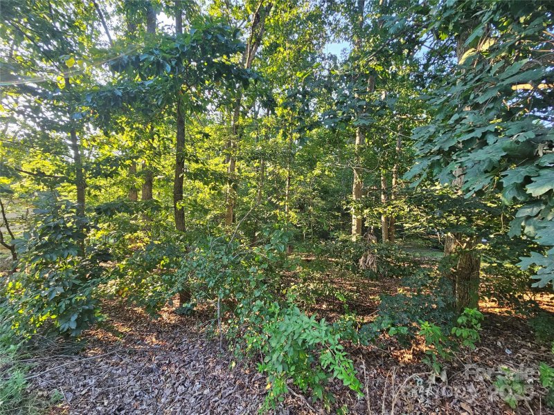 Property image 5 at 4022 Hoke Street, Claremont, NC 28610