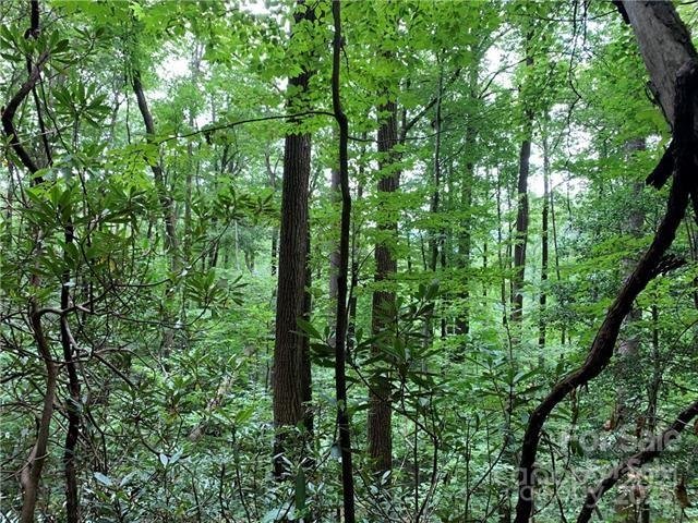 Property image 2 at 0000 Peppervine Circle, Rosman, NC 28772