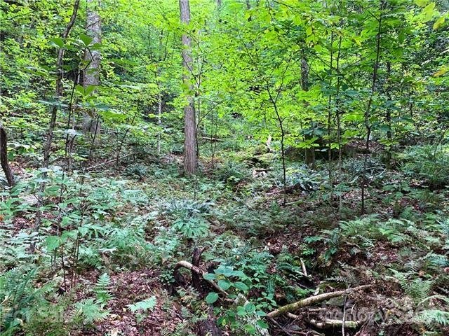 Property image 4 at 0000 Peppervine Circle, Rosman, NC 28772