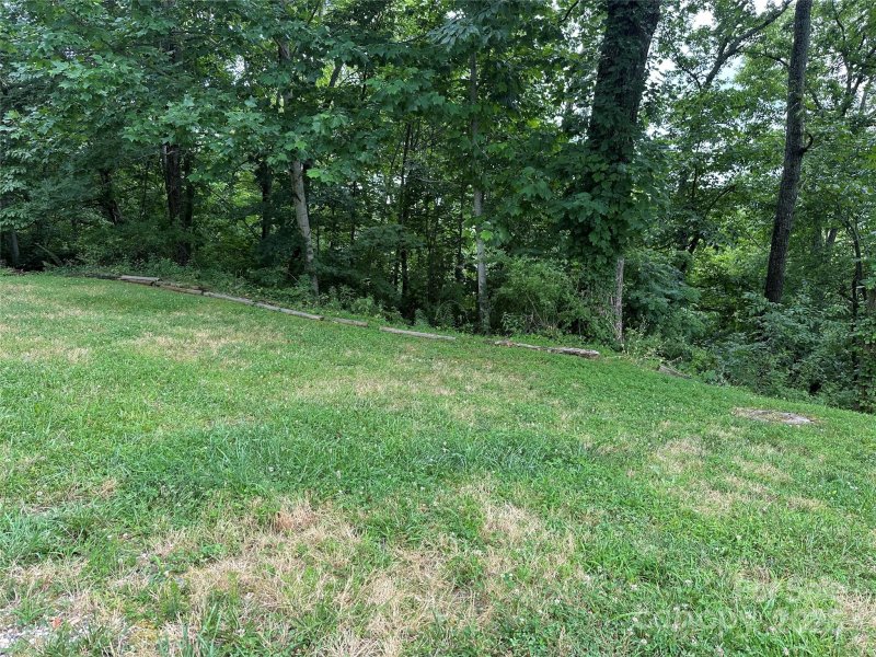 Property image 2 of 109 Ladys Fern Trail in Somersby Park, Laurel Park, NC 28739