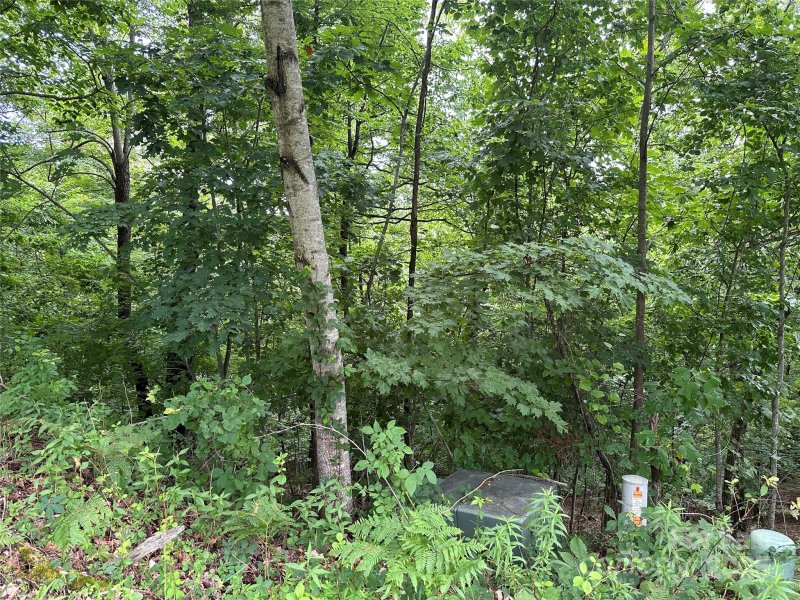 Property image 4 of 109 Ladys Fern Trail in Somersby Park, Laurel Park, NC 28739