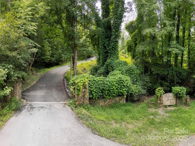 Willow Brook Falls, Hendersonville Community